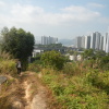 Hiking Tin Shui Wai - 頁 29 Nfn7CNCk_t