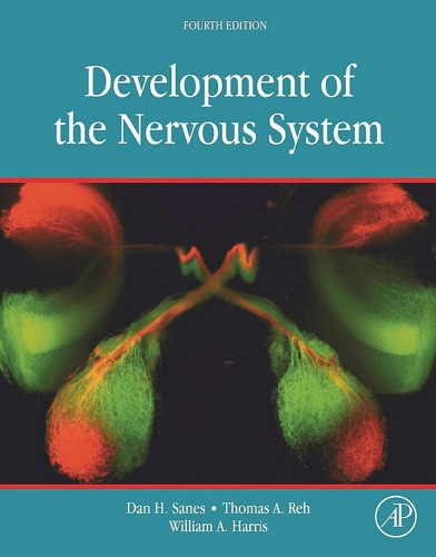 Development of the Nervous System