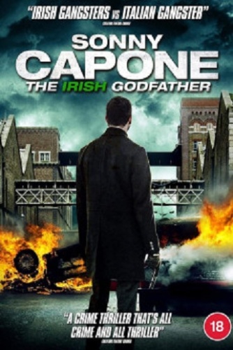 Sonny Capone 2020 1080p WEB-DL DD2 0 H 264-EVO