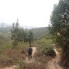 Tin Shui Wai Hiking 2023 - 頁 2 SsHEuWZB_t