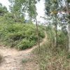 Tin Shui Wai Hiking 2023 - 頁 2 AgWsEEGi_t