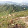 Hiking Tin Shui Wai 2023 July - 頁 2 Hpn5EWkR_t