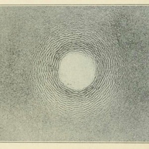 image host