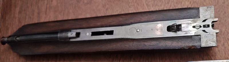 [Linked Image from thumbs2.imgbox.com]