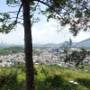 Hiking Tin Shui Wai 2023 July - 頁 2 GNMfJ9dj_t