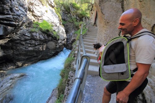 7 DE JULIO. LAGO GELMERSEE. GARGANTA ROSENLAUI. - De ruta en ruta por Suiza, 2023 (20)