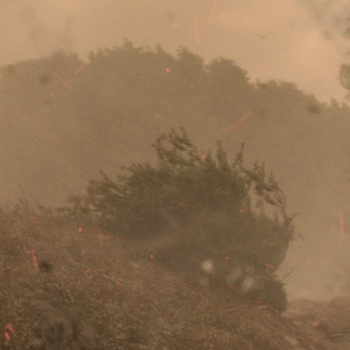 Movie cover image