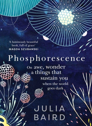 Phosphorescence On awe, wonder and things that sustain you when the world goes dark