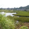 Hiking Tin Shui Wai 2023 July - 頁 2 Phfx9vsb_t