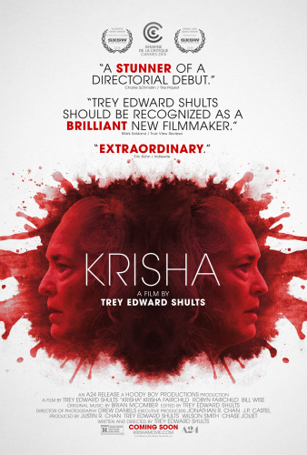 Krisha 2015 720p BluRay x264-REGRET