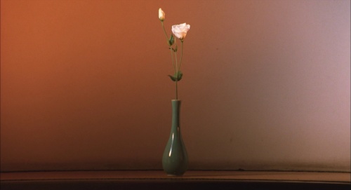 Movie cover image