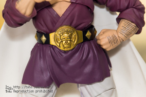Dragon Ball - S.H. Figuarts (Bandai) - Page 2 Yw5iTsNW_t
