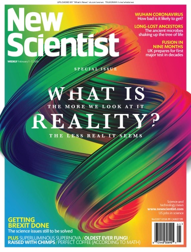 New Scientist - 01 02 (2020)