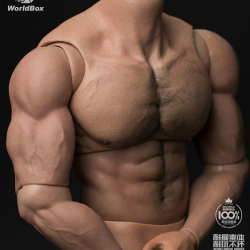 Super-Flexible Male Seamless Body 1/6 (TBLeague) GwqzbZ9p_t