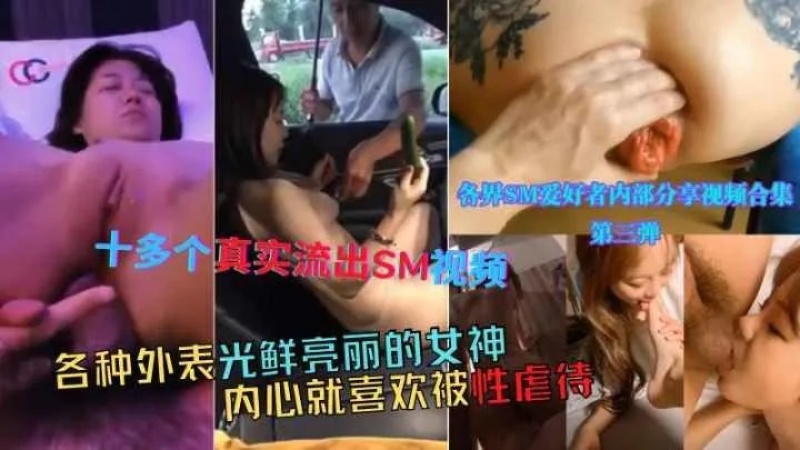 十多個真實SM調教視頻-7336365 - 萝莉岛破处社区🔞