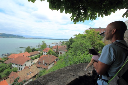 De ruta en ruta por Suiza, 2023 - Blogs de Suiza - 3 DE JULIO. LLEGADA A SUIZA. MURTEN Y LLEGADA A REICHENBACH (5)
