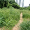 Hiking Tin Shui Wai 2023 July UGO84uxT_t