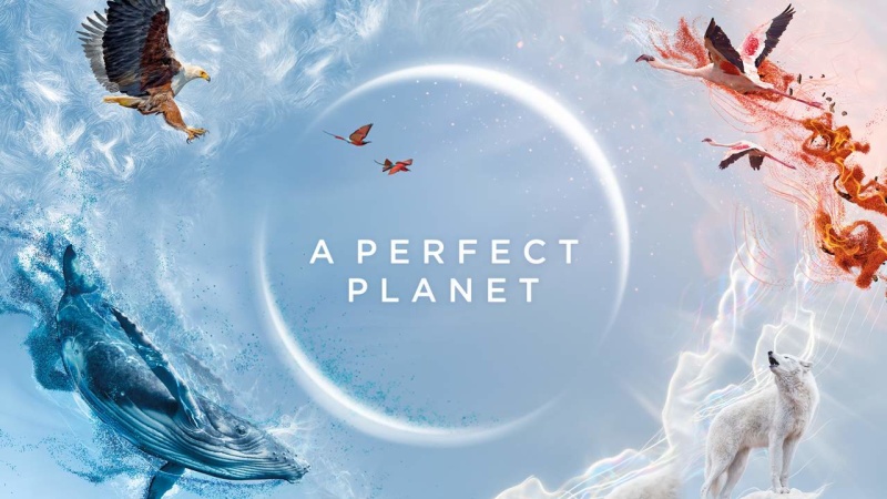 A Perfect Planet (2021) • TVSeries