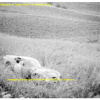 Targa Florio (Part 4) 1960 - 1969  - Page 9 3oO232t9_t