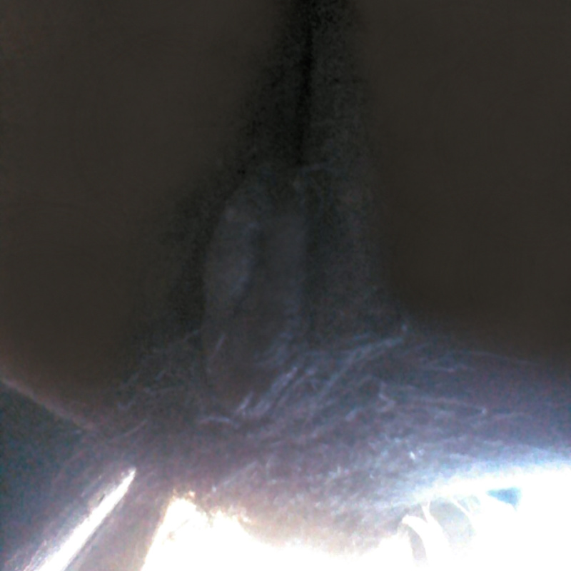 https://thumbs2.imgbox.com/39/d9/3azem6gT_t.jpg