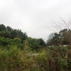 Tin Shui Wai Hiking 2023 - 頁 2 GVHr0GDr_t