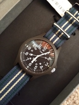 timex tw2p75100za