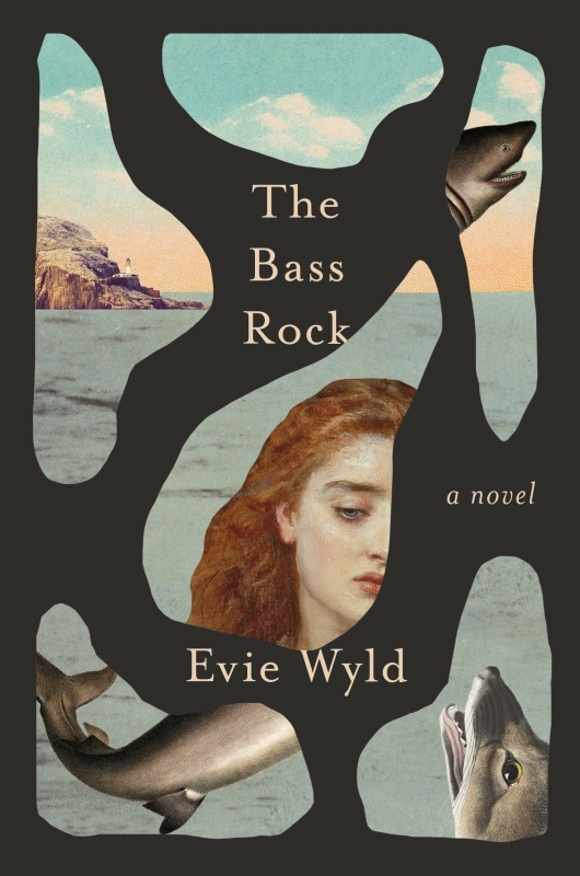 The Bass Rock A Novel DqEMG4b5_t