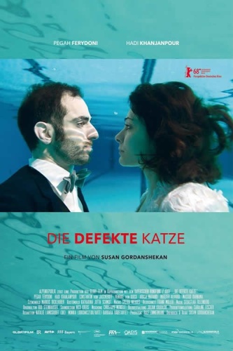 A Dysfunctional Cat 2018 DVDRip x264-BiPOLAR
