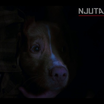 Movie cover image