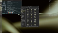 wIhf59xJ_t.png