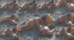 Nudebeachdreams Voyeur Sex On The Beach 31, Part 6/8