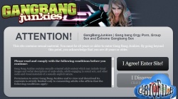 Gangbangjunkies.com - Siterip - Ubiqfile