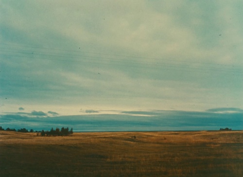 Movie cover image