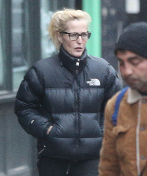 Gillian Anderson - Spotted out as she visited some shops in North London, December 18, 2020
