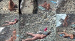 Nudist video 00904 NudeBeachDreams 