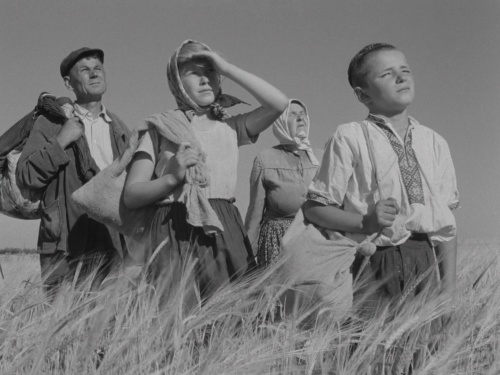 Movie cover image