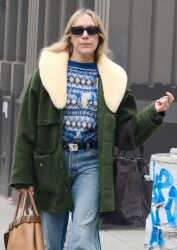 Chloe Sevigny - Out in New York 03/27/2024