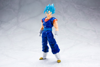 [Comentários] Dragon Ball Z SHFiguarts - Página 31 NL0VrbII_t