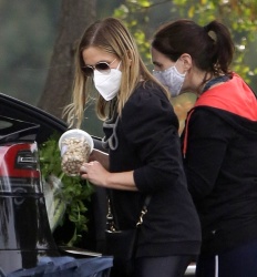 Sarah Michelle Gellar - Fills up her grocery cart as she goes shopping at Whole Foods in Los Angeles, February 5, 2021