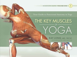 Key Muscles of Yoga   Your Guide to Functional Anatomy in Yoga