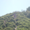 Hiking Tin Shui Wai 2023 July - 頁 2 A5VUoMfe_t