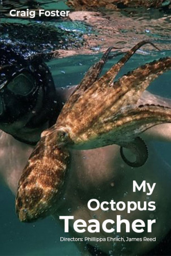 My Octopus Teacher 2020 1080p NF WEBRip DDP5 1 x264-pawel2006 