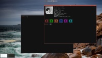 LX2vEwFS_t.png