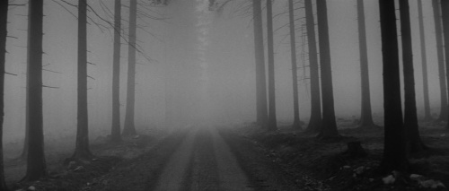 Movie cover image