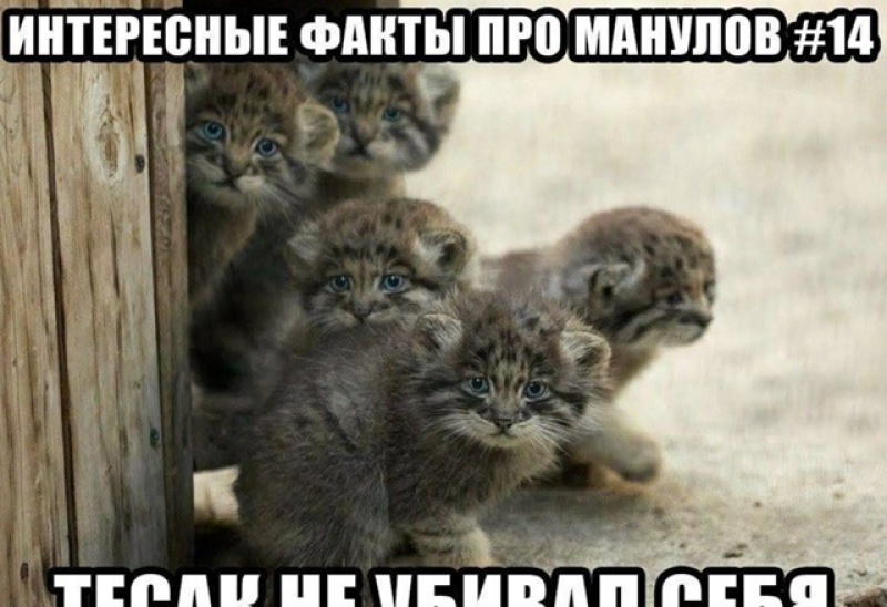 oJFqNb05_t.png