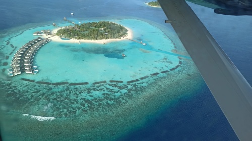 Maldivas 2022. Maafushivaru - Blogs de Maldivas - EXPERIENCIA EN LA ISLA (10)