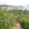 Hiking Tin Shui Wai 2023 July - 頁 2 YDpOxzZn_t