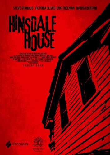 Hinsdale House 2019 1080p WEBRip x264 RARBG