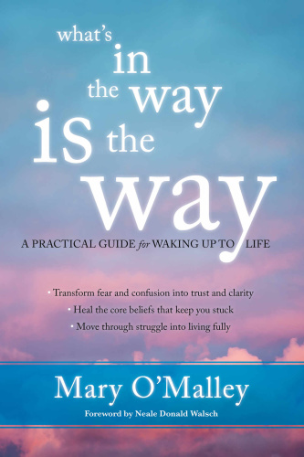 What's in the Way Is the Way - A Practical Guide for Waking Up to Life