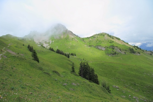 6 DE JULIO. RUTA A SCHYNIGE PLATTE. - De ruta en ruta por Suiza, 2023 (18)